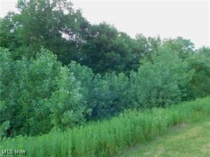 S/L #23 Highland Mist Circle, Hinckley, Ohio image 2