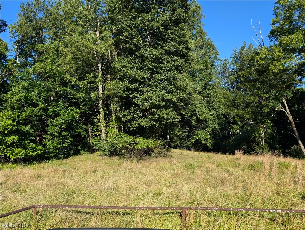 616 Hathaway Street, Grantsville, West Virginia image 4