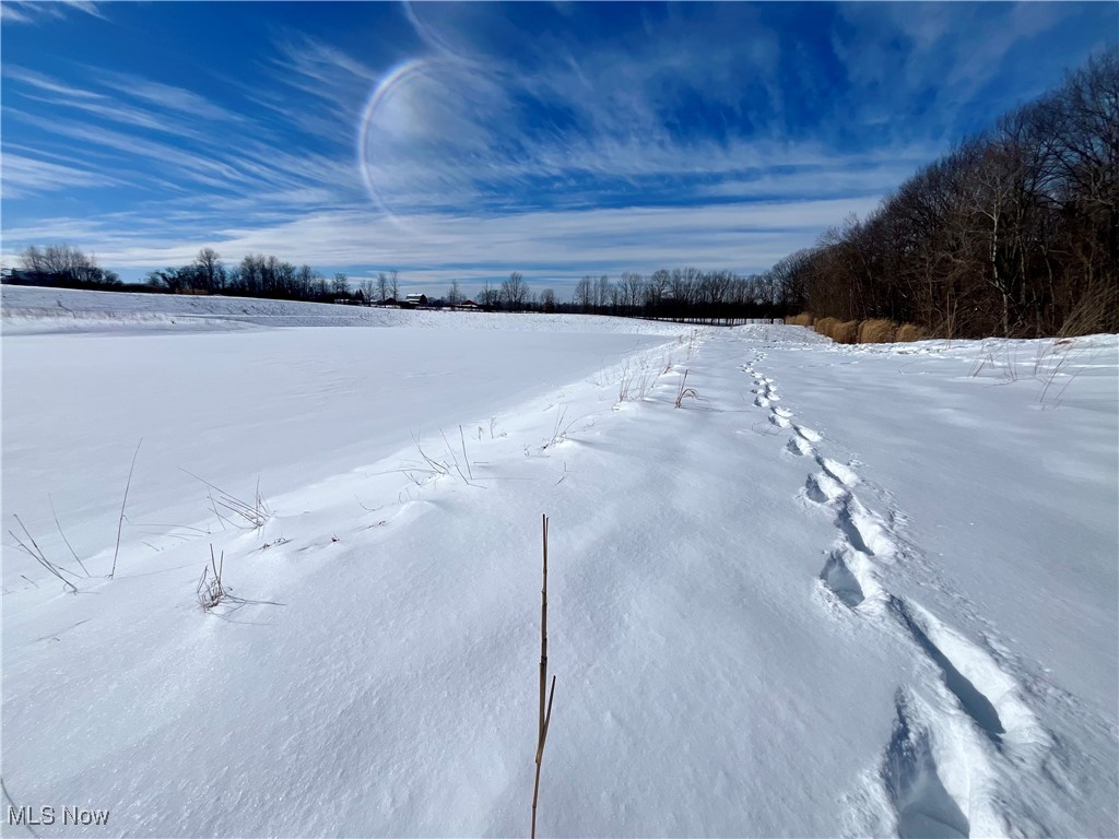 Connecticut Western Reserve - Land