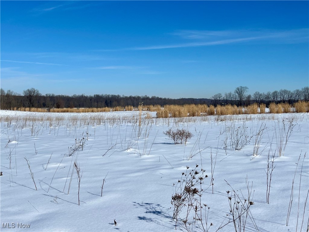Connecticut Western Reserve - Land