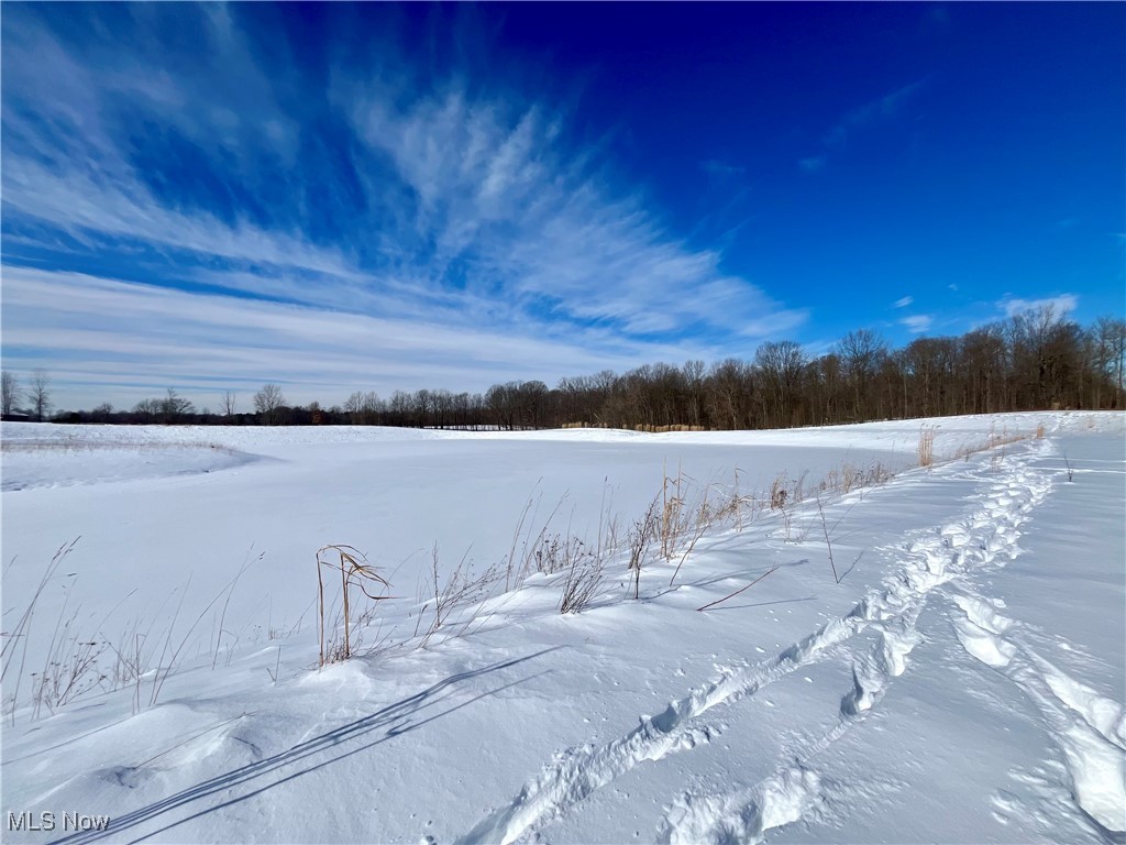 Connecticut Western Reserve - Land