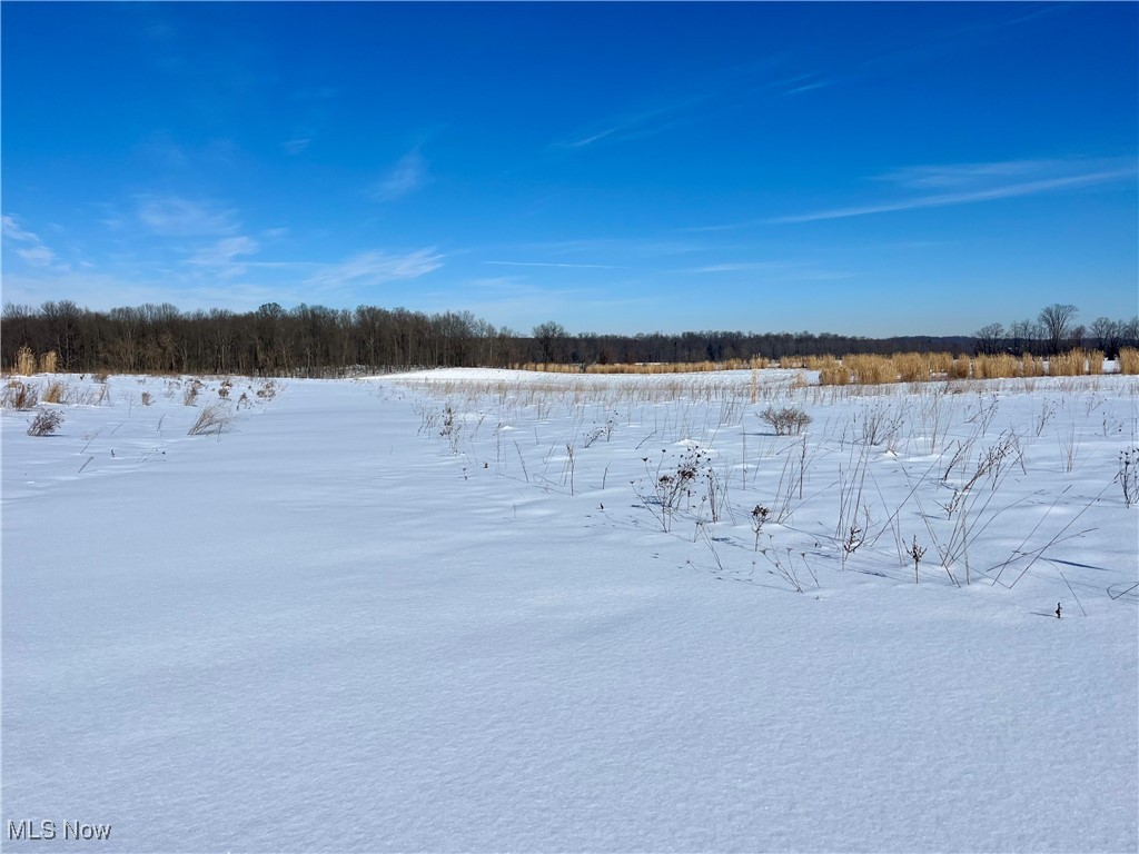 Connecticut Western Reserve - Land