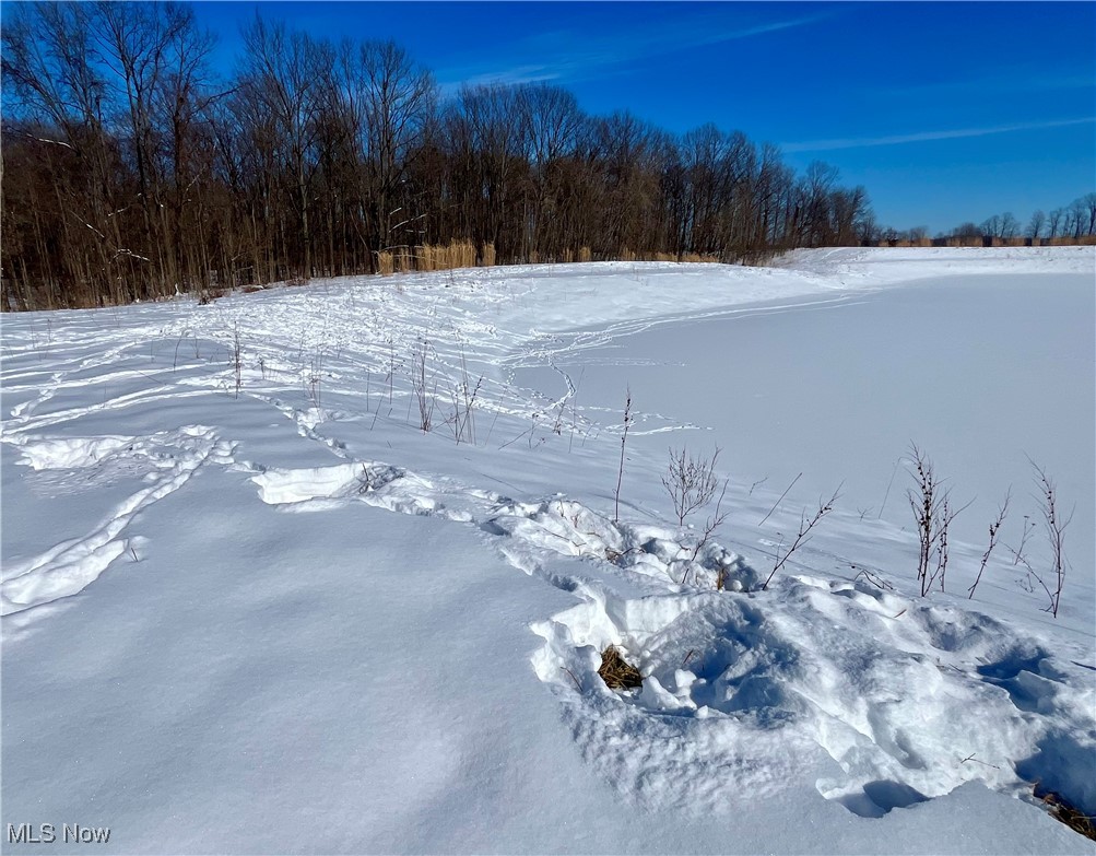 Connecticut Western Reserve - Land
