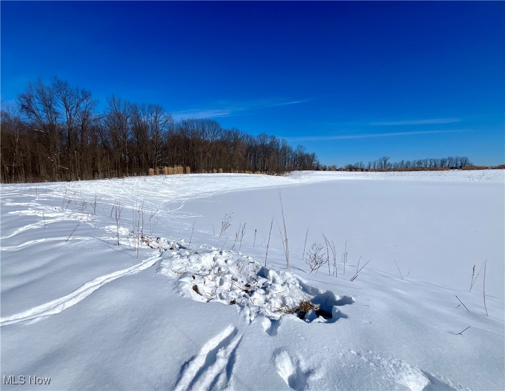 Connecticut Western Reserve - Land