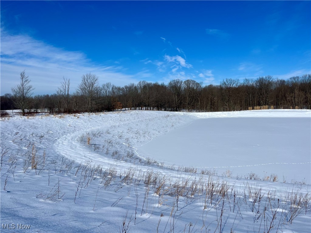 Connecticut Western Reserve - Land