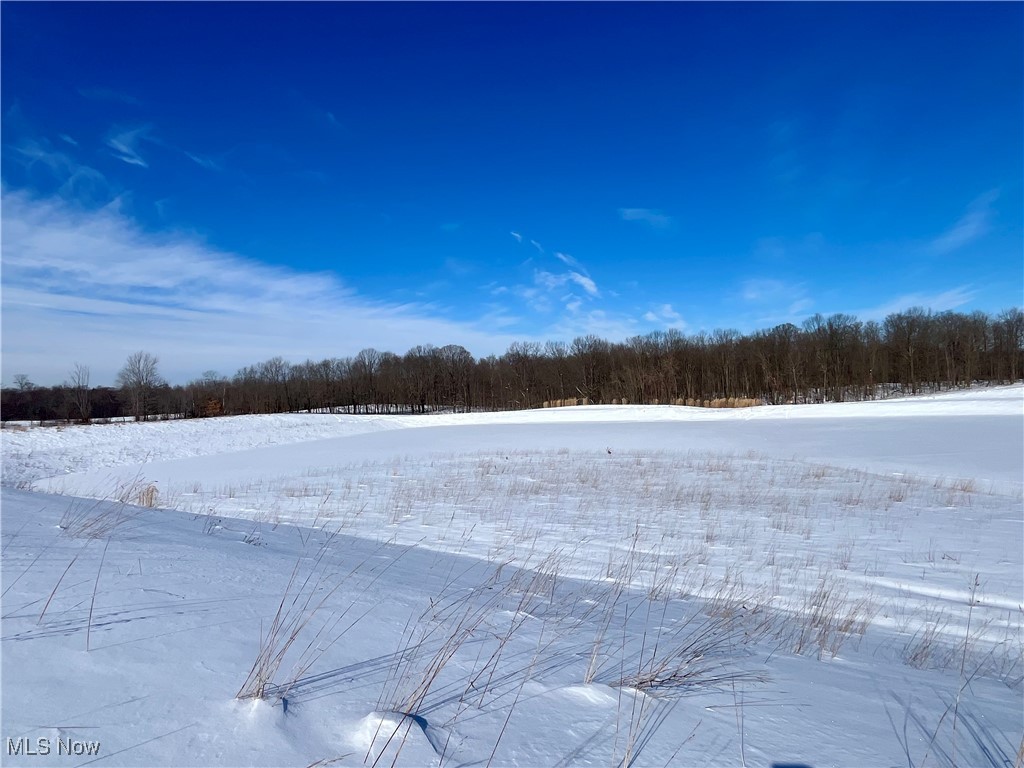 Connecticut Western Reserve - Land