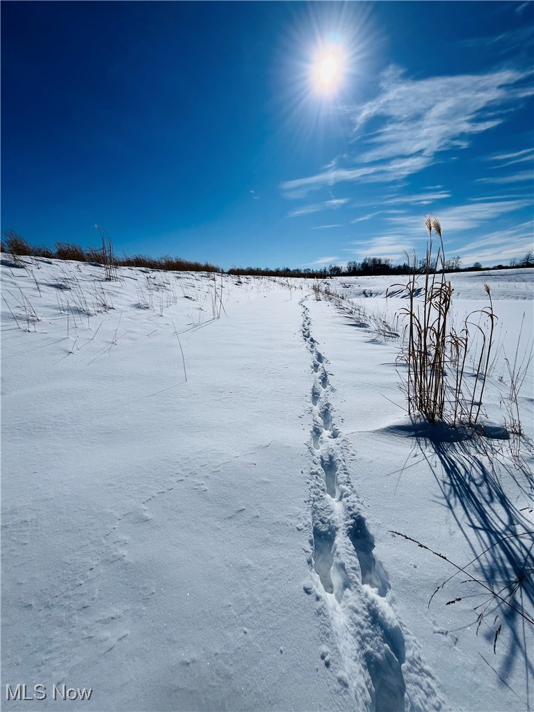 Connecticut Western Reserve - Land