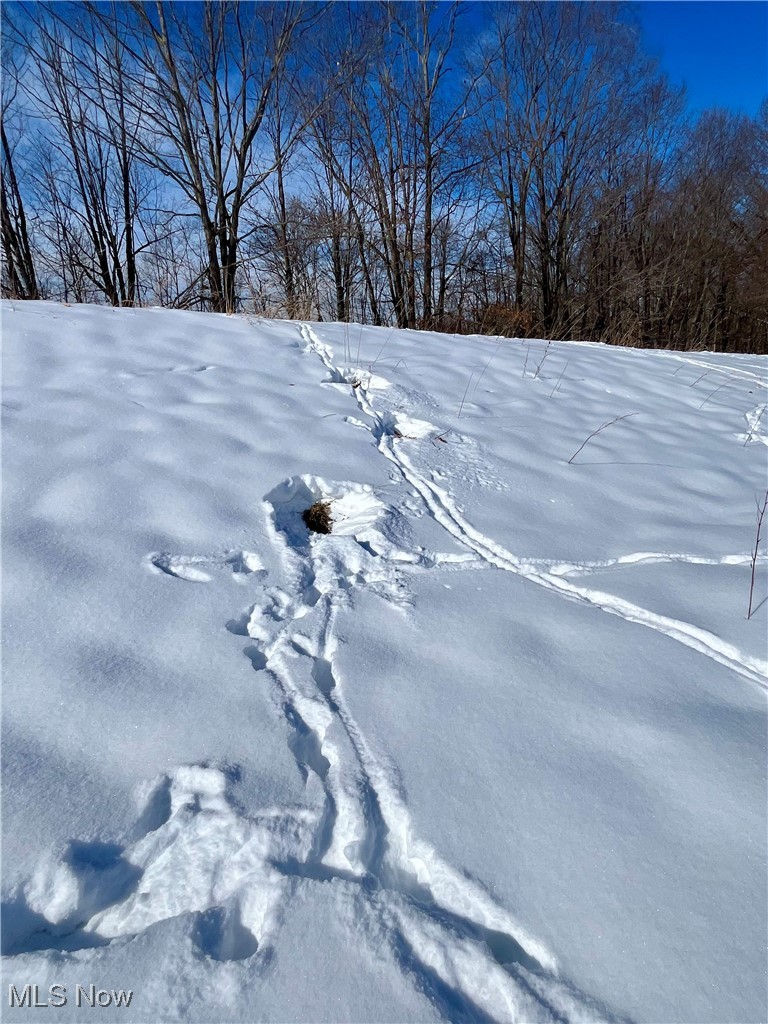 Connecticut Western Reserve - Land