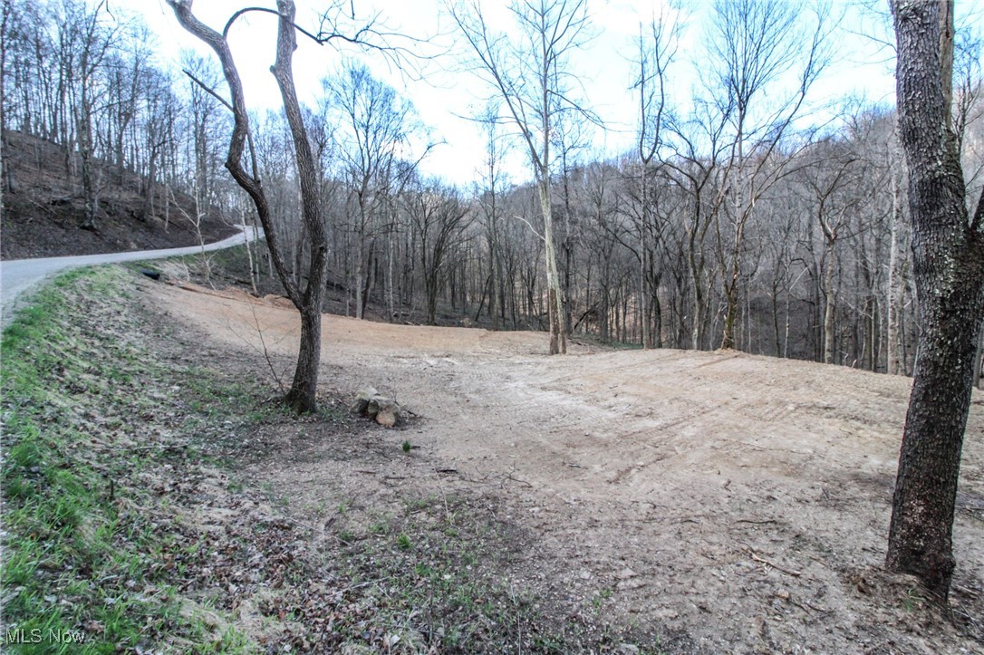 Elk Run Road, New Matamoras, Ohio image 3