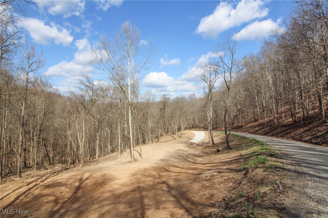 Elk Run Road, New Matamoras, Ohio image 25