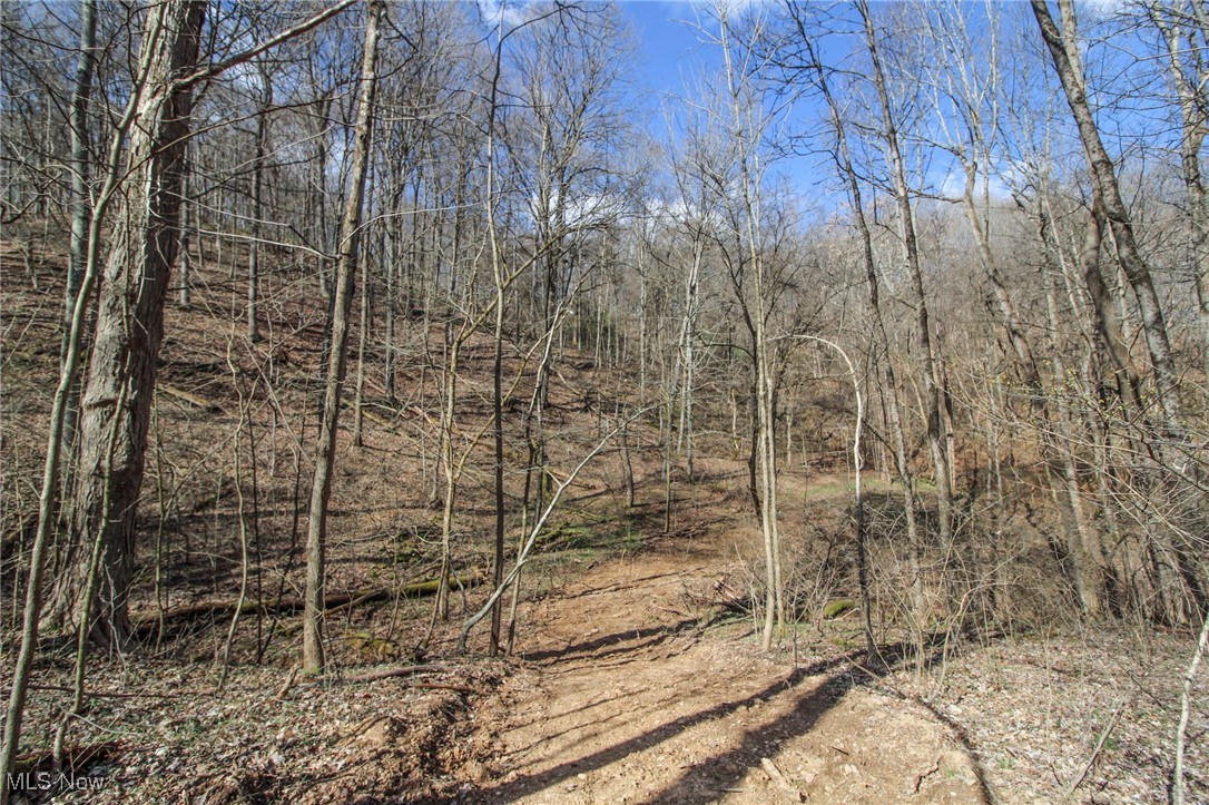 Elk Run Road, New Matamoras, Ohio image 15