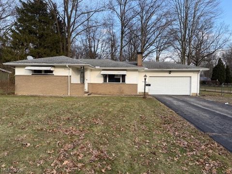 319 Russell Avenue Cortland OH 44410