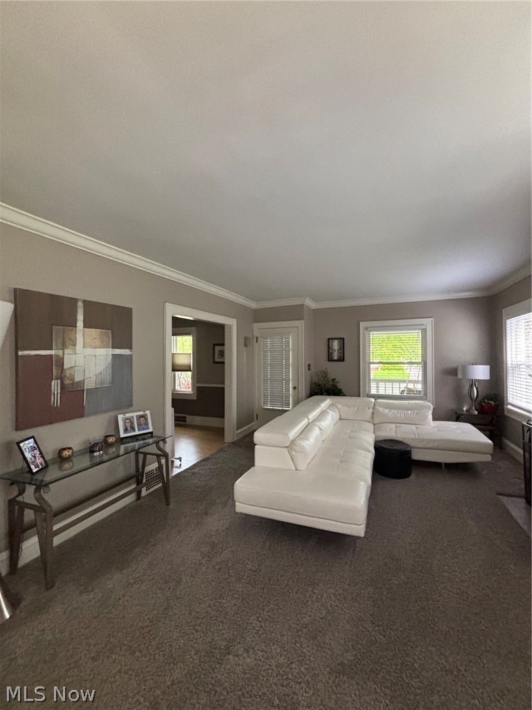 Belle Ave Allotment - Residential