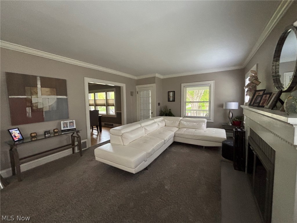 Belle Ave Allotment - Residential