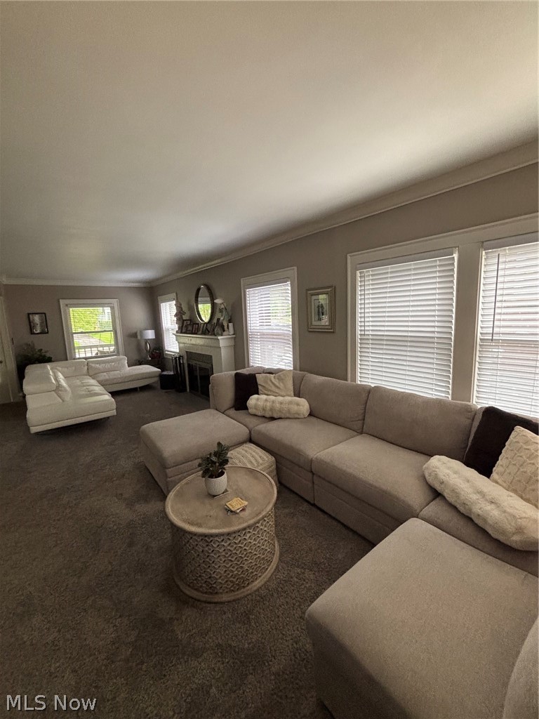 Belle Ave Allotment - Residential