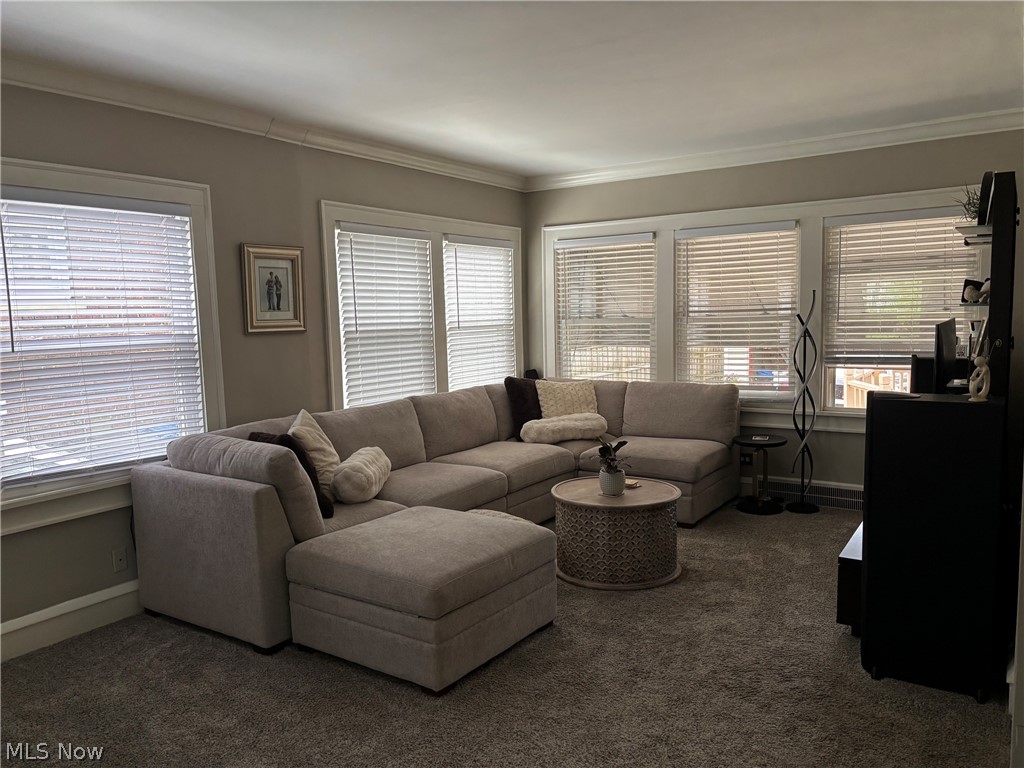 Belle Ave Allotment - Residential