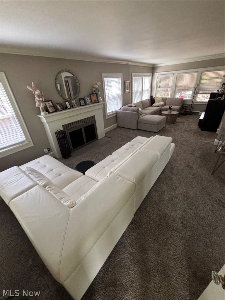 Belle Ave Allotment - Residential