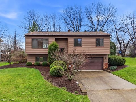 Homes For Sale - 9415 Lawnfield Drive<br/> Summit County, Twinsburg, OH 44087