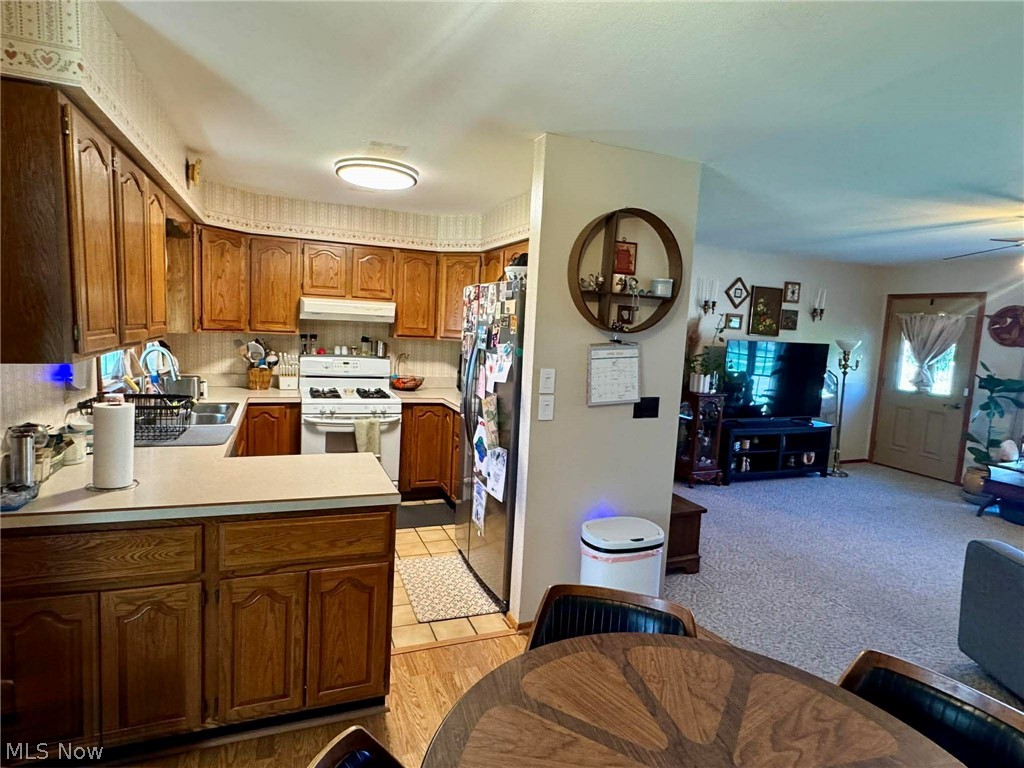 Ashtabula - Residential