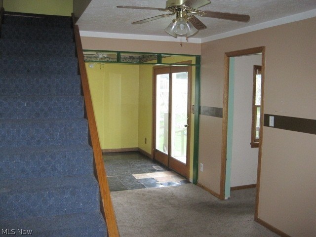 Maplewood - Residential