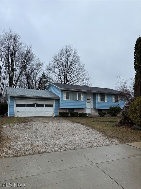 1918 Buchtel Street Twinsburg OH 44087