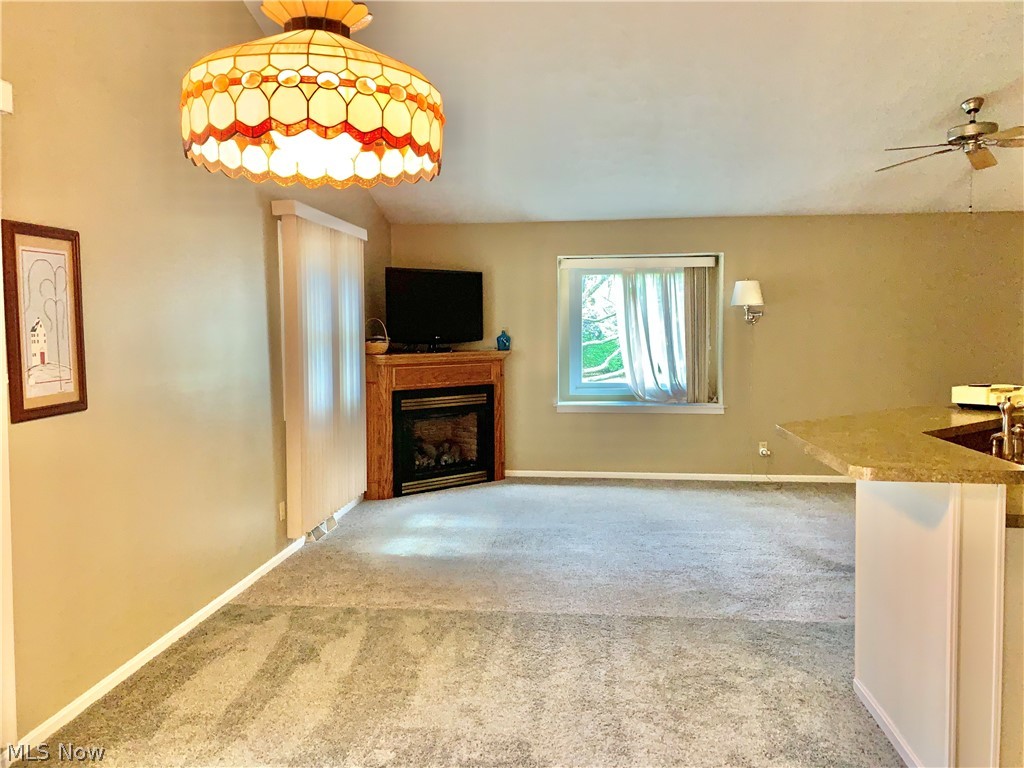 Surrey Pointe Condo - Residential