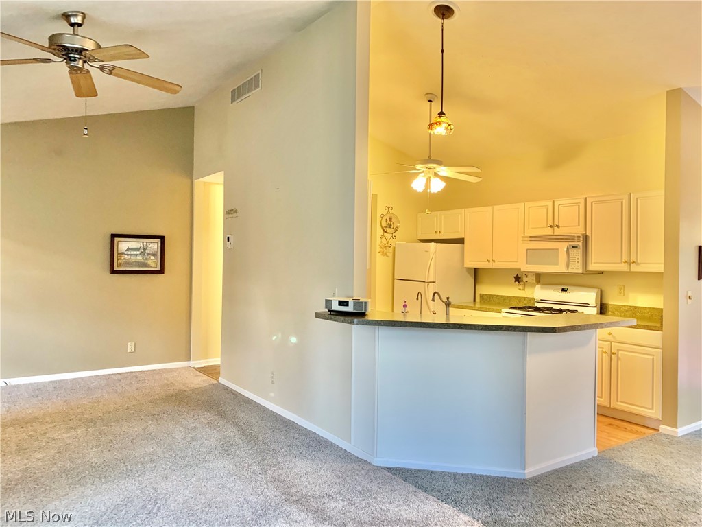 Surrey Pointe Condo - Residential