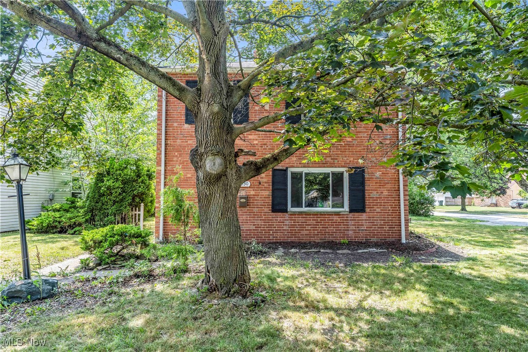 21530 Bruce Ave. Euclid- Spacious 3 bed 1 bath single family home! //
$ 1300 rent / $ 1300 deposit //
$55 application fee per adult //
1-2 pets OK in this unit. After application pre-approval, a PetScreening is required for any animals to proceed with one of our properties; a PetScreening affidavit is still required if you have no pets. (Some breed restrictions apply per HUD guidelines). //
NO SMOKING //
1 time $169 non-refundable set up fee paid at lease signing //
$30/month required resident benefit package; can include personal property/liability insurance for an additional $5/month for $35/month total. //
** ** CMHA OK - 3 bdrm voucher; must be prepared with reservation fee to hold the property and moving packet. ** ** //
After application Pre-Approval 1 applicant per household application is required to fill out a PetScreening application, before being about to proceed with placing a Reservation Fee for one of our properties. You will receive a pre-approval for your application and in order to proceed, the PetScreening is required. Even if you have NO pets - this application must be filled out. One time, non-refundable pet fee of $250-600 per animal applies to all pets & must be paid before or when you pay your first month rent. (No fee for qualified assistance animals). //
Our application is processed through secure site: Findigs, and they require ID and income verification. Without this, your application will not be processed. They offer 24/7 chat support on their application directly if you have any questions. //
BEDROOMS:3 //
BATHROOMS:1 //
APPLIANCES PROVIDED: Fridge, stove, and dishwasher //
UTILITIES / RESIDENT RESPONSIBILITY:Residents are responsible for all utilities including: water/sewer/trash, gas & electric and are responsible to maintain lawn care maintenance & snow removal. //
Serious inquiries only.