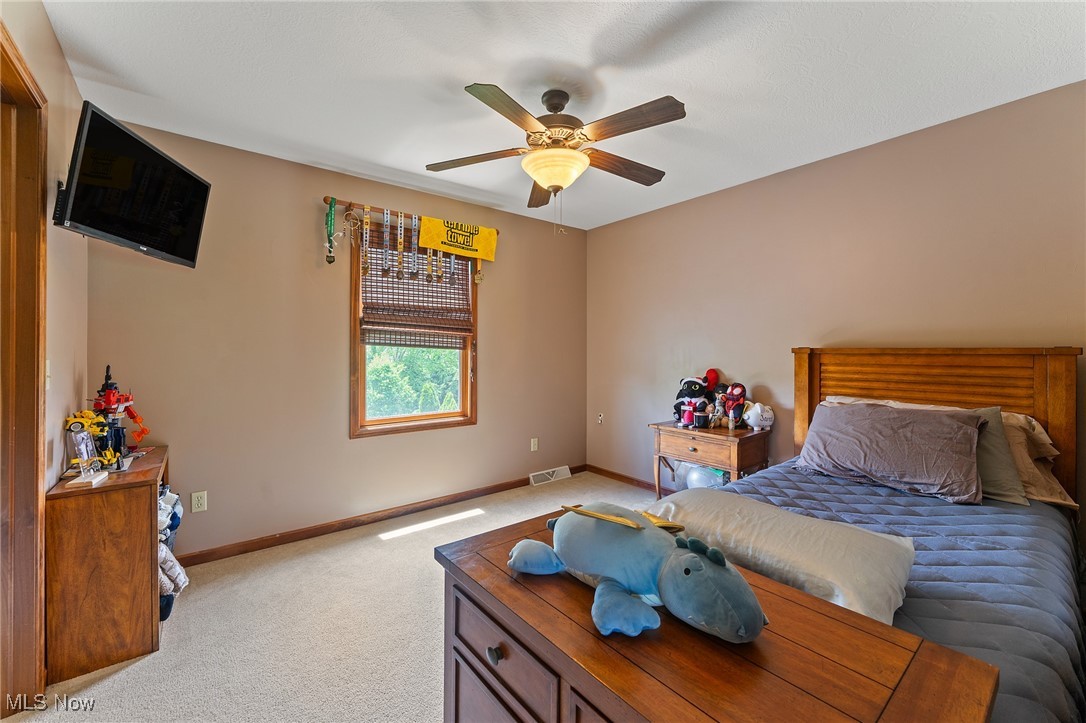 73 Lake Wobegon Drive, Canfield, Ohio image 27