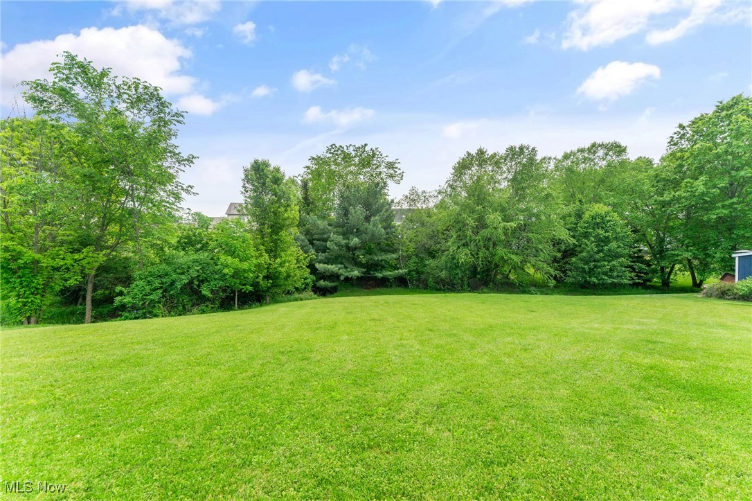 73 Lake Wobegon Drive, Canfield, Ohio image 38