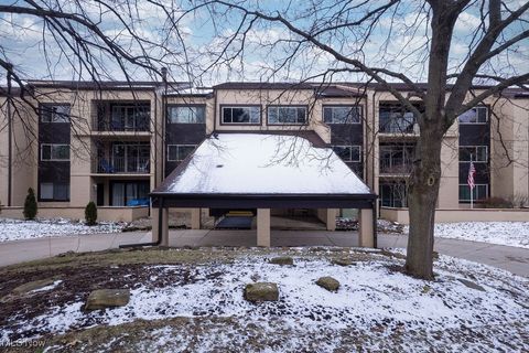 171 Court Drive 301 Fairlawn OH 44333