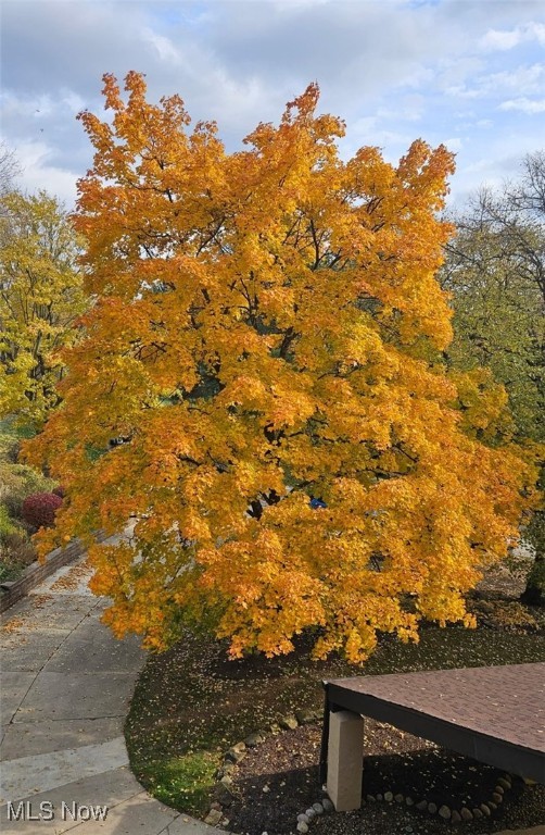 Westwood Village Condo - Residential