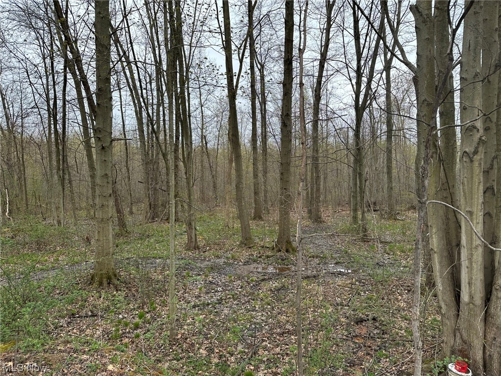 Connecticut Western Reserve - Residential