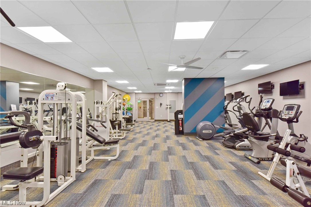 Carlyle Condo - Residential Lease