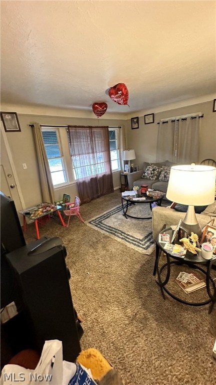 Indian Village Allotment - Residential