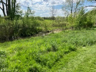 OLD MILL VILLAGE - Residential
