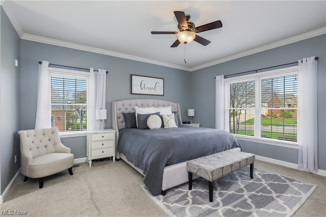 Carrington Ph 05 Allotment - Residential