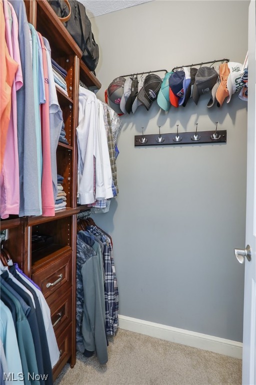 Carrington Ph 05 Allotment - Residential