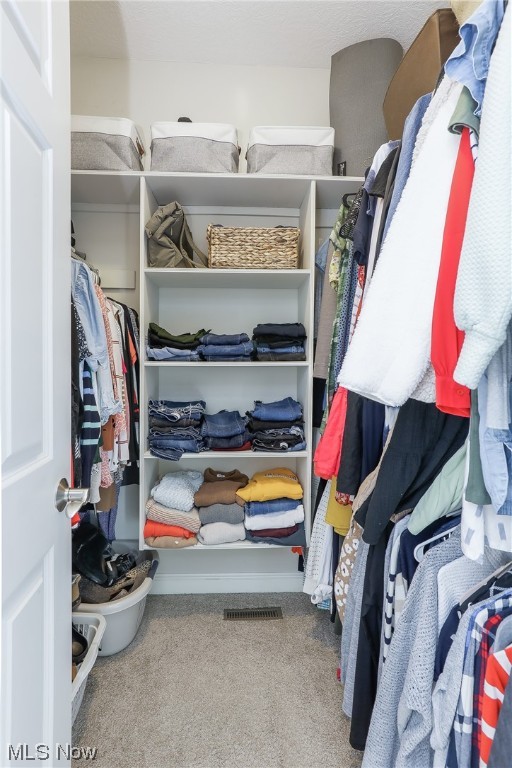 Carrington Ph 05 Allotment - Residential