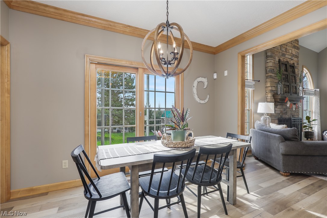 Carrington Ph 05 Allotment - Residential