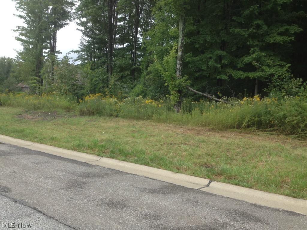 Little Mountain CC - Land