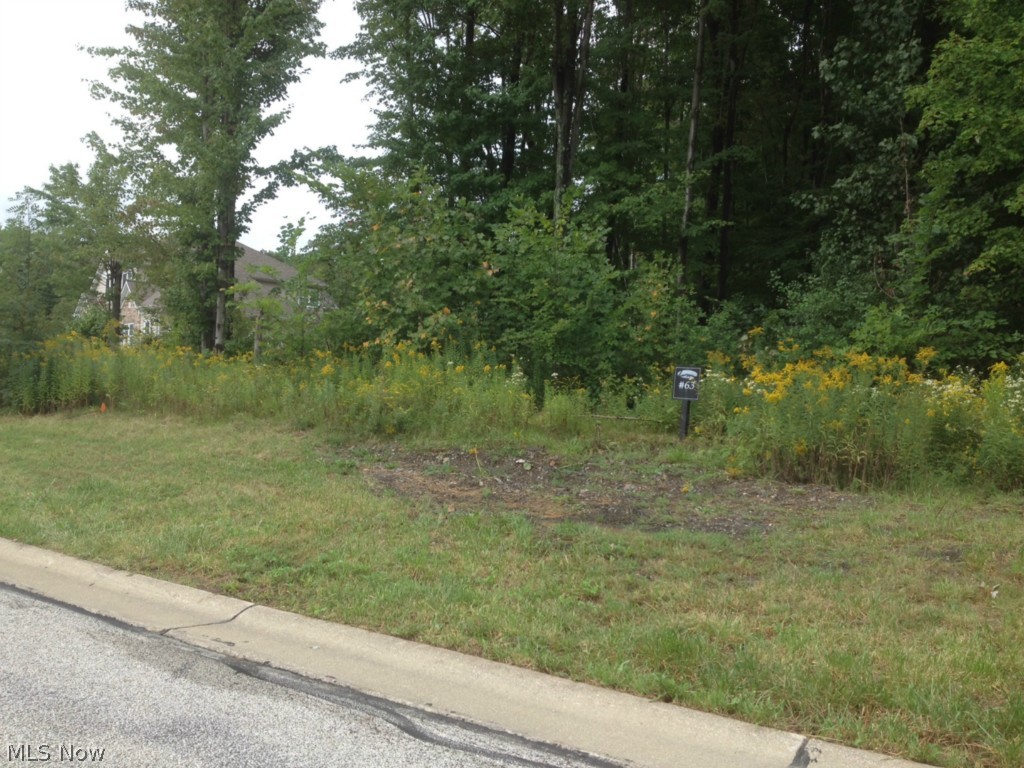 Little Mountain CC - Land