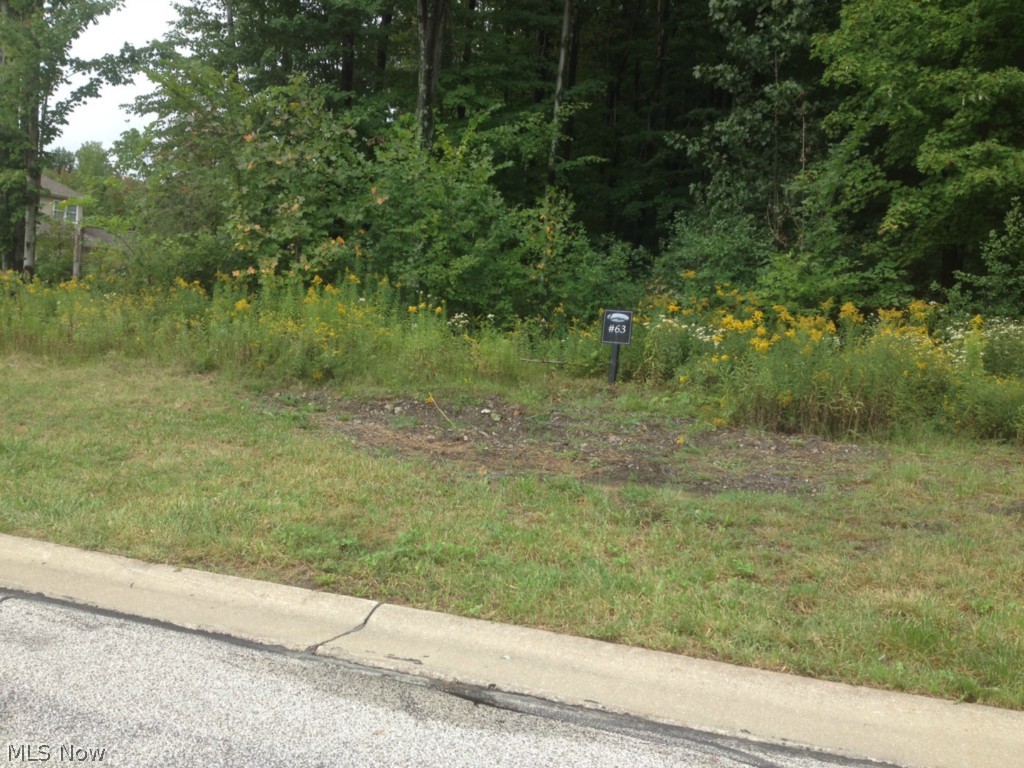 Little Mountain CC - Land