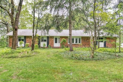 11484 Willow Hill Drive Chesterland OH 44026