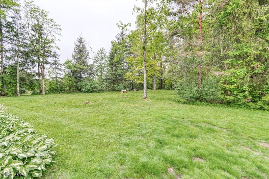 11484 Willow Hill Drive, Chesterland, Ohio image 28