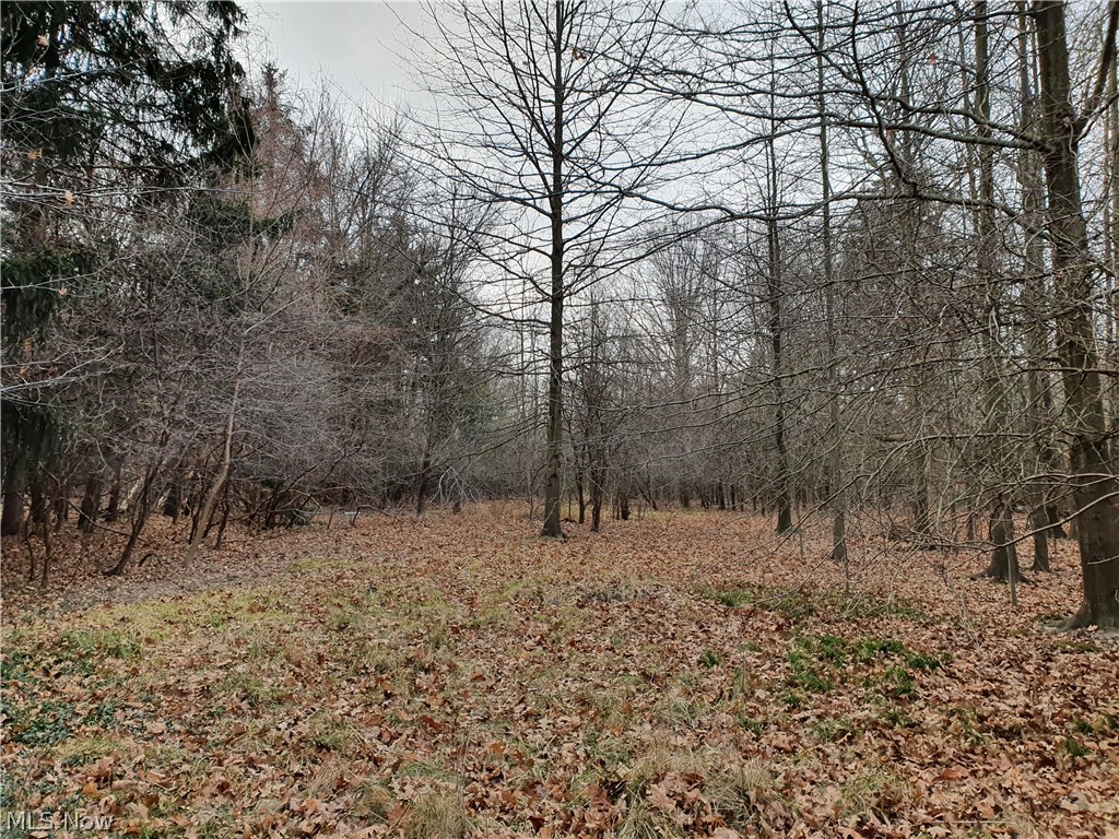 Come One Come All to this great opportunity of land to build your own home or possible homes. Individuals as well as builders and developers are welcome! This property includes the following parcels 31-A-008-D-00-062-0 31-A-008-D-00-064-0. Please register your showing with our showing service and leave feedback after your viewing.