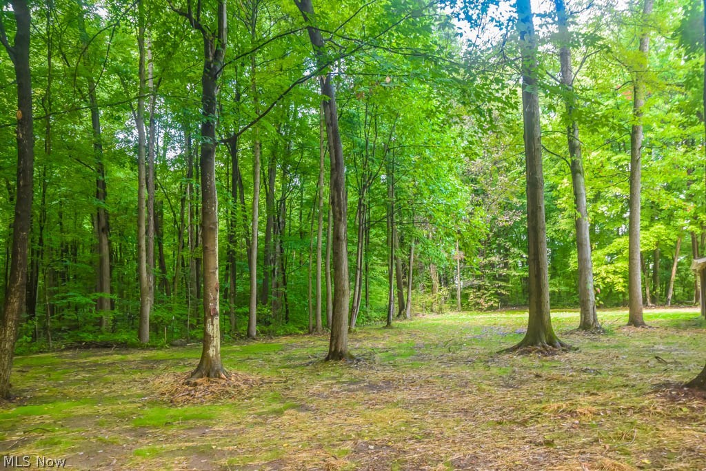 Rootstown - Residential