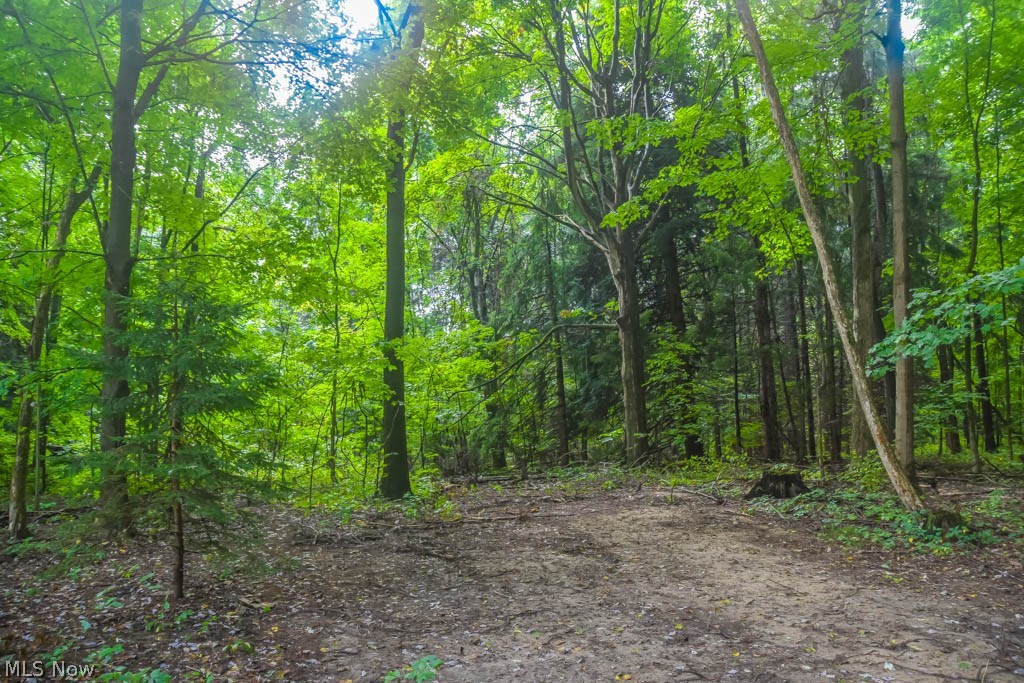 Rootstown - Residential