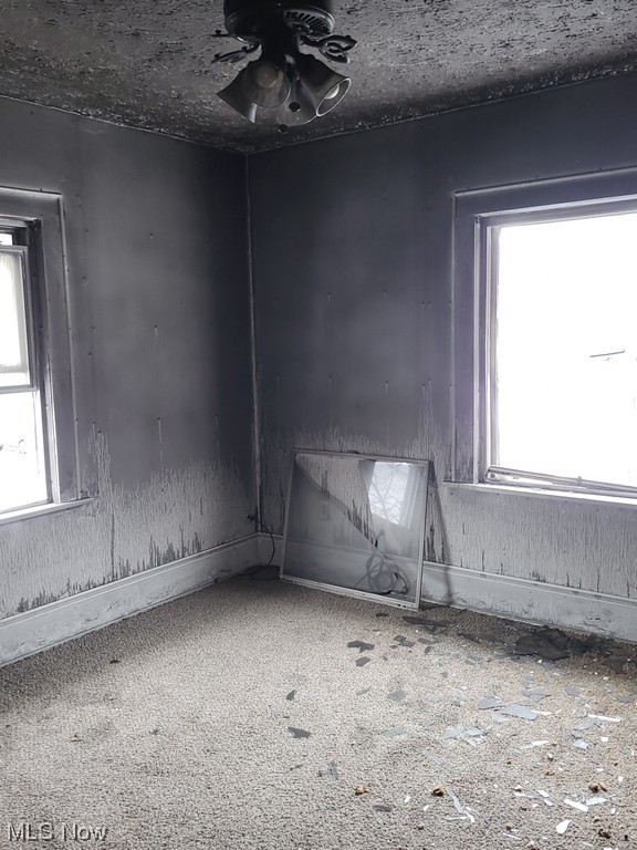 Carpenter - Residential