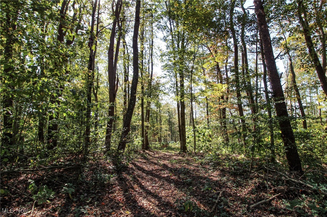 Lot 2 Brooks Road, Marietta, Ohio image 9